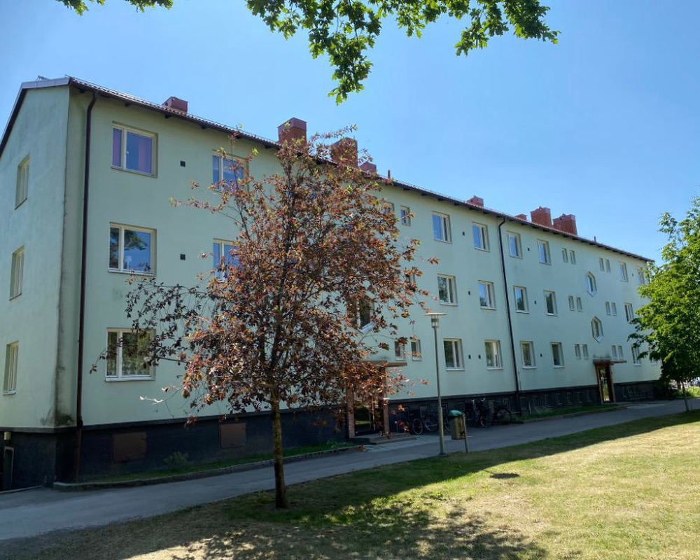 Långt ljusgrönt flerbostadshus med sexkantiga fönster, ett träd med rödbruna blad och en gräsmatta i sol