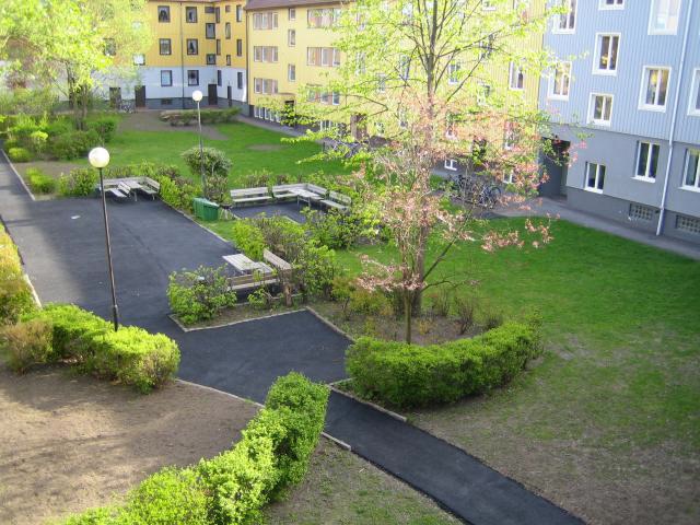 Innergård med gångvägar, häckar, bänkar och ett blommande träd mellan färgglada flerbostadshus